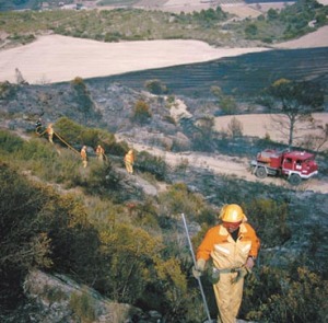 Estas acciones se integran en un proyecto general que permite realizar trabajos para la prevención de incendios forestales en 26 montes de Aragón y Cataluña hasta abril de 2011 con un presupuesto de 6 millones de euros cofinanciado por países del Espacio Económico Europeo y el MARM